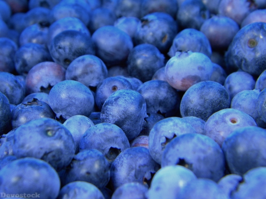 Devostock Blueberries Blueberry Fruit Food 0