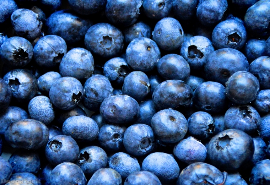 Devostock Blueberries Breakfast Muesli 1593965