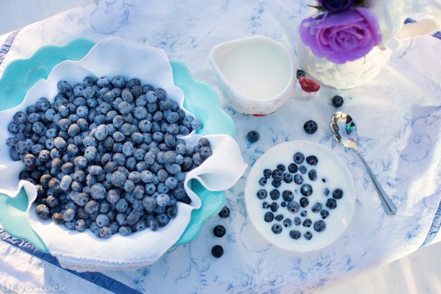 Devostock Blueberries Cream Dessert Breakfast 1