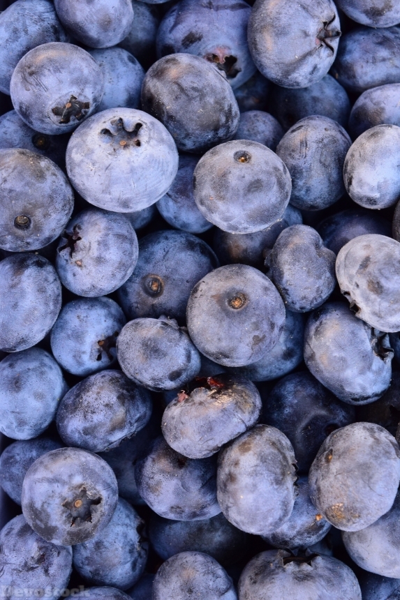 Devostock Blueberries Delicious Fruit Fruits 0