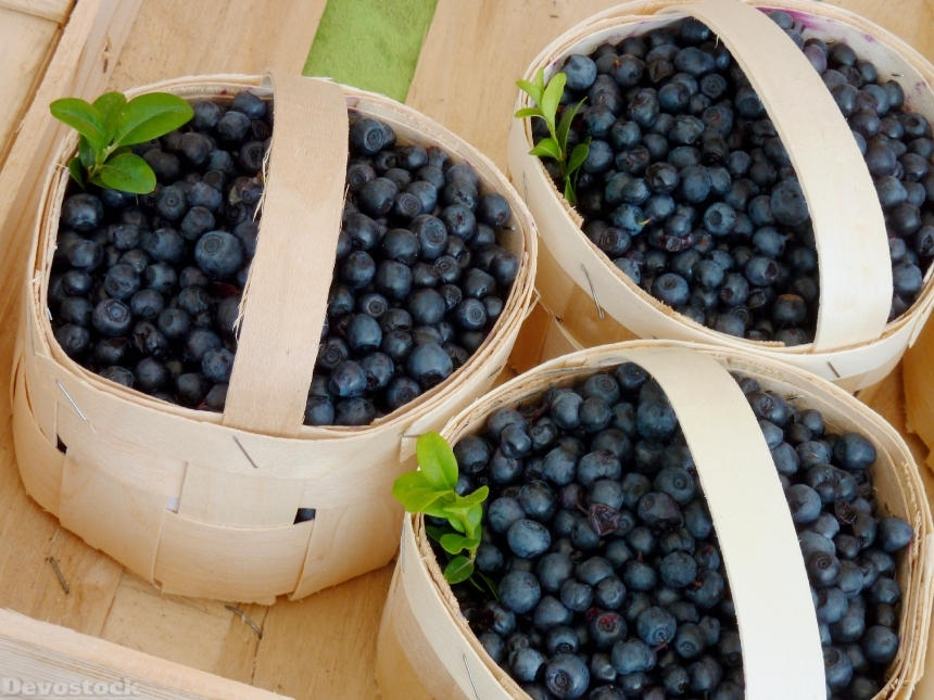 Devostock Blueberries Delicious Fruit Fruits 1