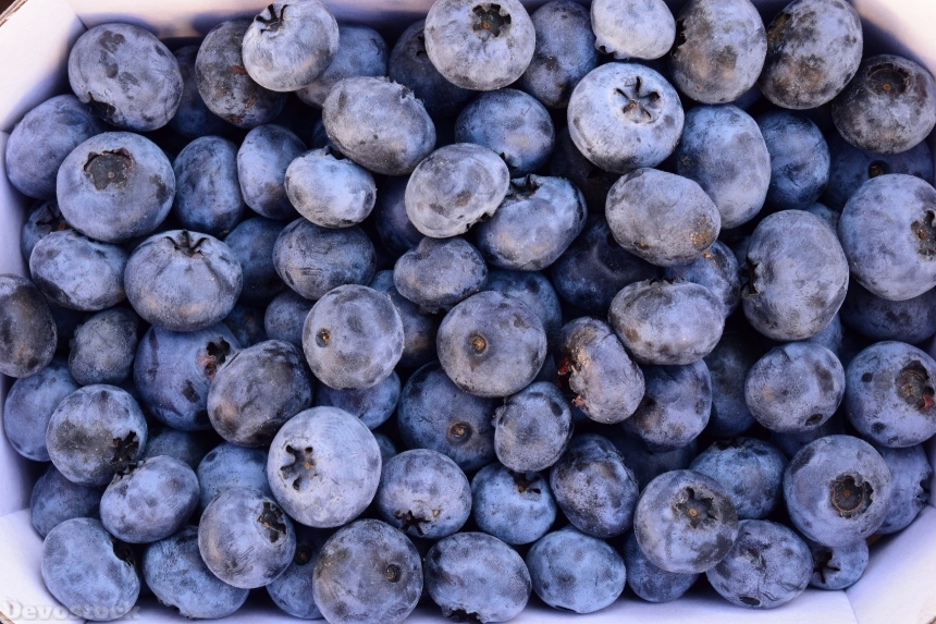 Devostock Blueberries Delicious Fruit Fruits