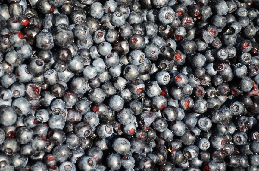 Devostock Blueberries Fruit Bilberry Jagoda