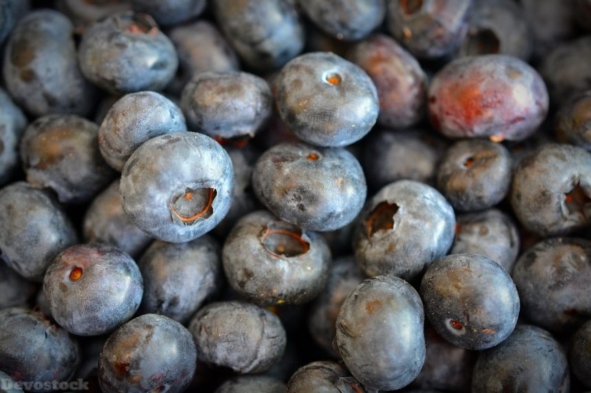 Devostock Blueberries Fruit Delicious Fruits
