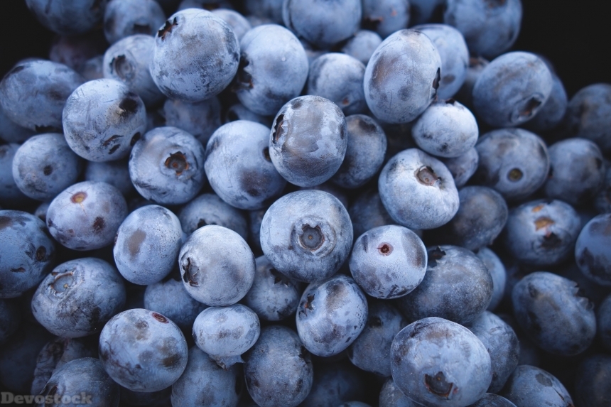 Devostock Blueberries Fruit Food Berries