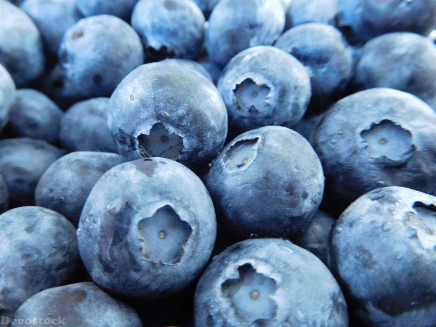 Devostock Blueberries Fruits Food Fresh