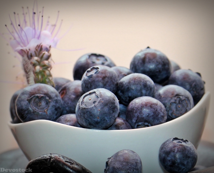Devostock Blueberries Fruits Fruit Vitamins