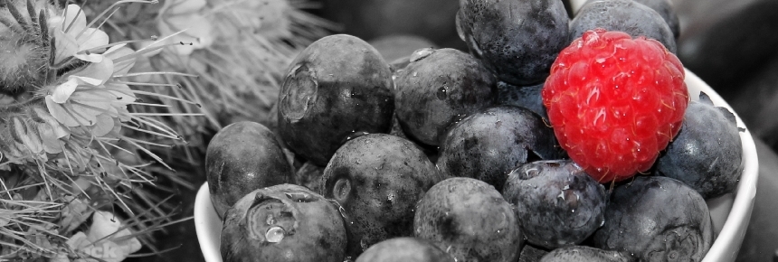 Devostock Blueberries Raspberry Fruits Fruit 1