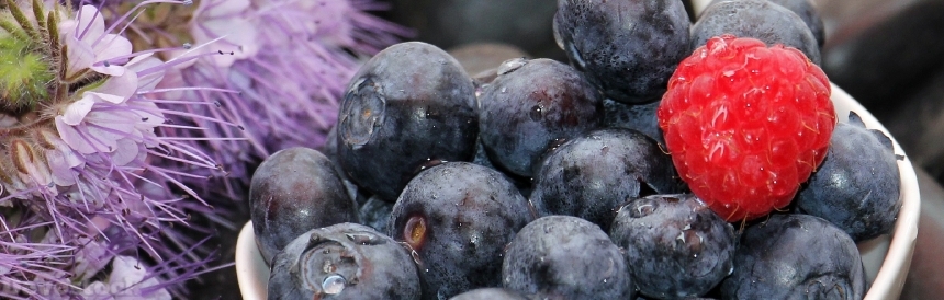 Devostock Blueberries Raspberry Fruits Fruit 2