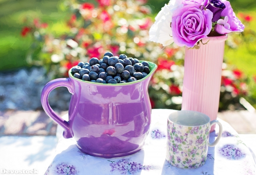 Devostock Blueberries Summer Fruit Fresh 1