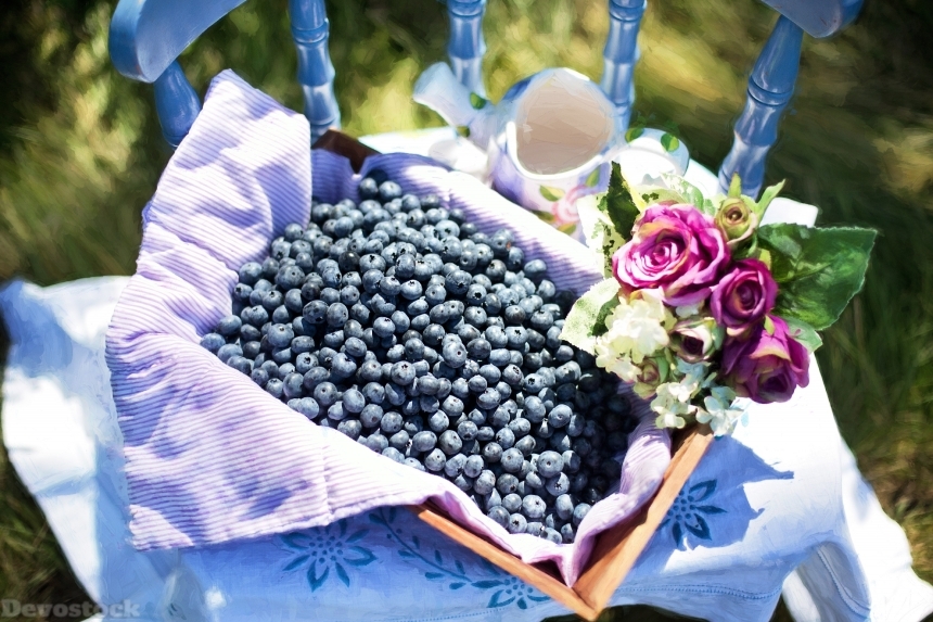 Devostock Blueberries Summer Fruit Healthy