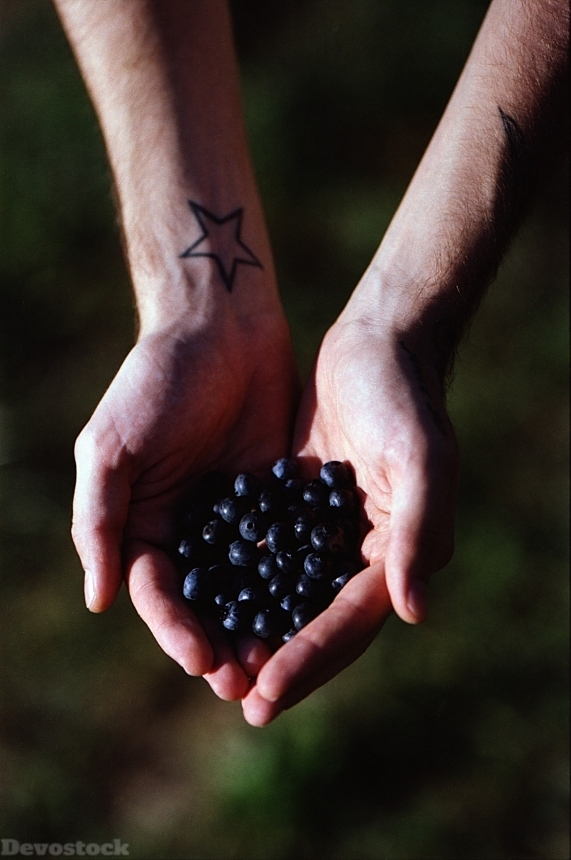 Devostock Blueberry Hand Food Fruit