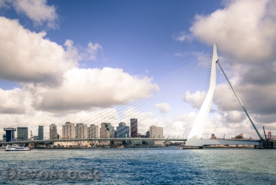 Devostock Bridge Rotterdam Erasmus Blue 735790.jpeg