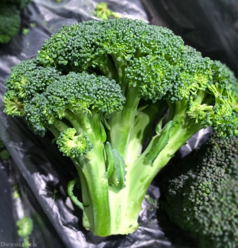 Devostock Broccoli Vegetables Seiyu Ltd