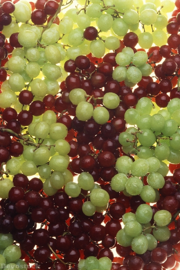 Devostock Bunches Green Red Grapes