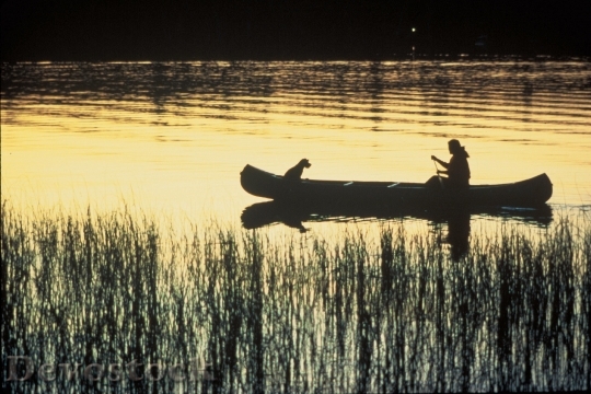 Devostock Canoeing At Sunset