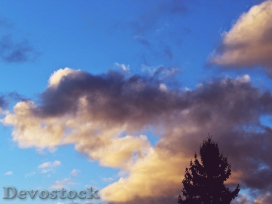 Devostock Clouds Sky Blue Tree
