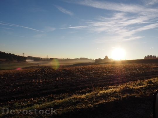 Devostock Cornfield Sunrise Morning Mist
