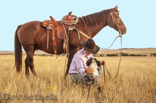 Devostock Cowboy Horse Dog Pasture
