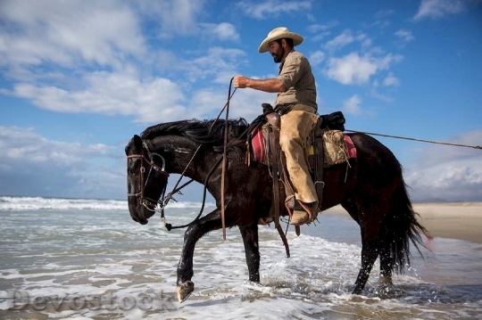 Devostock Cowboy Horse Riding Water