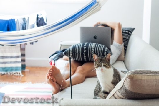 Devostock Cute Cat Man Technology Relaxing 4K