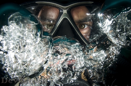 Devostock Diver Scuba Underwater Ocean 37545.jpeg