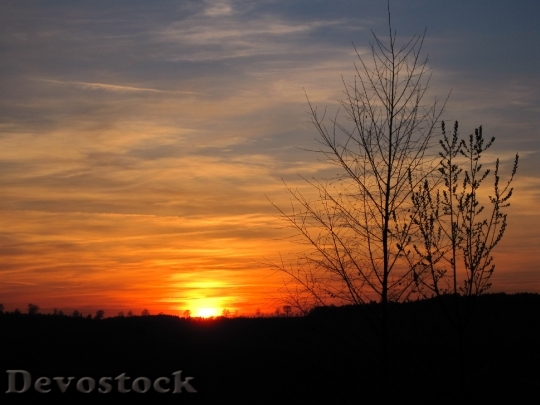 Devostock Evening Sky Sun Tree