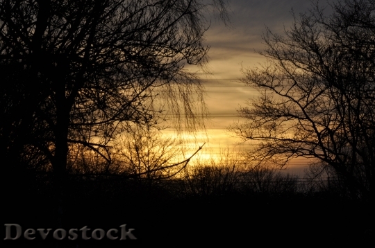Devostock Evening Sky Sunset Trees