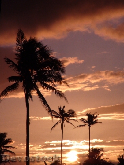 Devostock Fiji Sky Clouds Sunset 0
