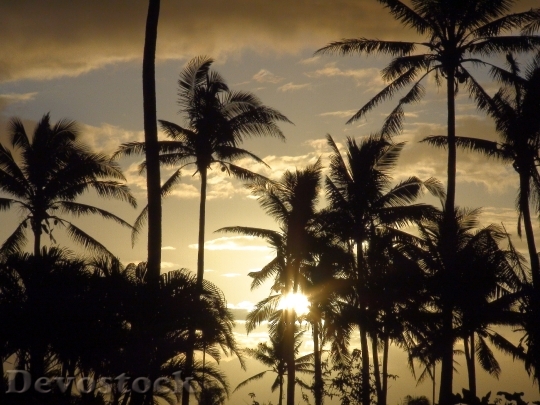 Devostock Fiji Sky Clouds Sunset