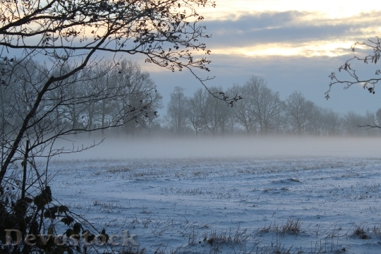 Devostock Fog Winter Fog Bank