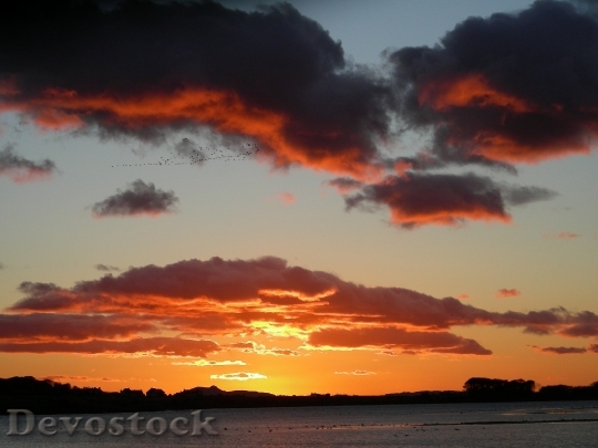 Devostock Geese Sunset Scotland Sky