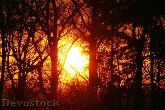 Devostock Glade Light Sunset Sun