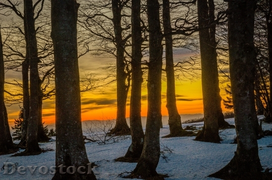 Devostock Kandel Black Forest Sunset