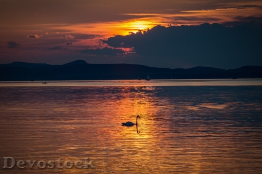 Devostock Lake Balaton Sunset Nature 4
