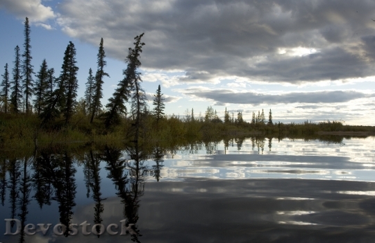 Devostock Lake Reflection Trees Landscape