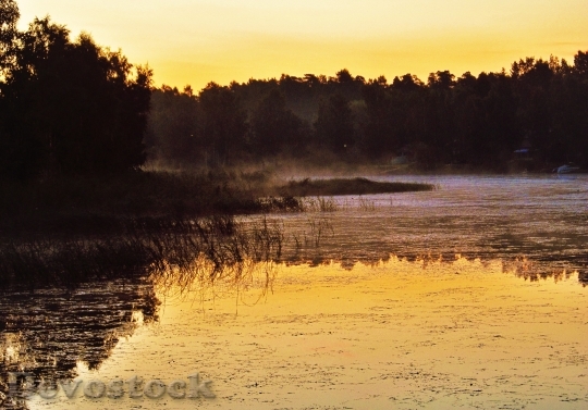 Devostock Lake Sunrise Sunset Forest