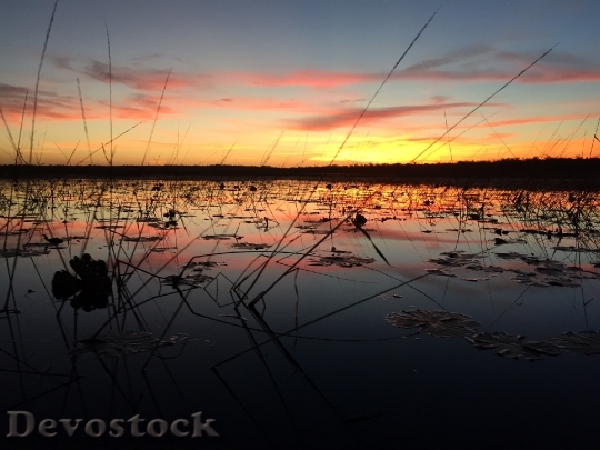 Devostock Lake Sunrise Wetland Scenery