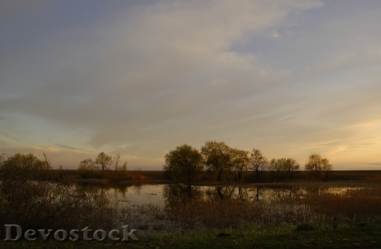 Devostock Lake Swamp Spring After