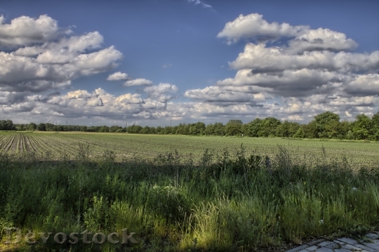 Devostock Landscape Clouds Field Sky 0