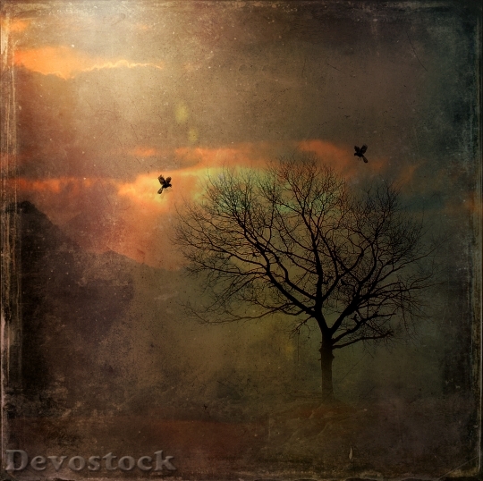 Devostock Landscape Nature Mystical Sunrise