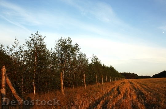 Devostock Landscape Poland Sky Blue