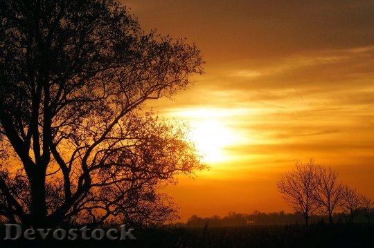 Devostock Landscape Sunset Trees Sky