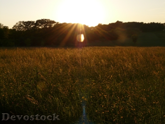 Devostock Nature Landscape Sunbeam Meadow
