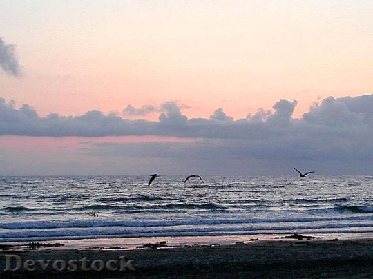 Devostock Ocean Beaches Sunset