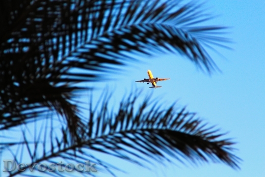 Devostock Plane Egypt Palma Sky