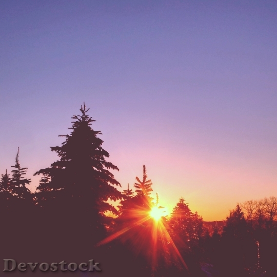Devostock Purple Sky Sunset Dusk