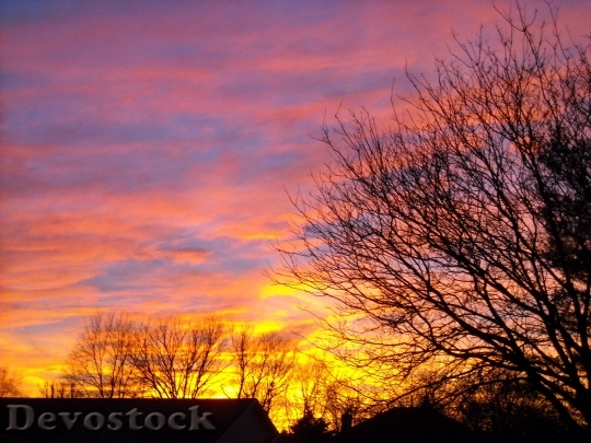 Devostock Purple Sky Sunset Silhouette