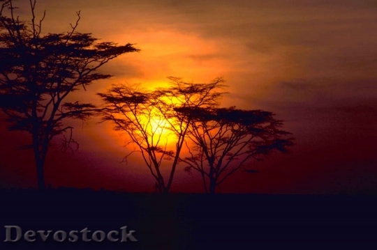 Devostock Red Beautiful African Sunset