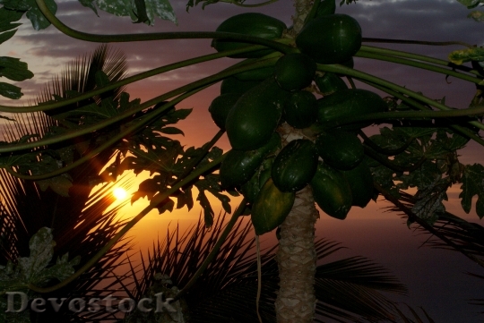Devostock Reunion Island Sunset Evening 0